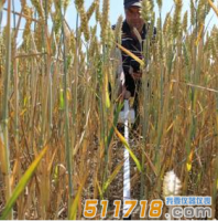 英國Delta-T Devices  SunScan專業(yè)版植物冠層分析儀