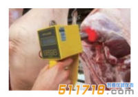 德國(guó)MATTHAUS OPTO-STAR肉色測(cè)定儀