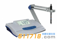 上海雷磁 DWS-51型鈉離子計(jì)