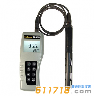美國(guó)YSI EcoSense系列ODO200溶解氧/溫度測(cè)量?jī)x