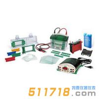 美國(guó)伯樂(lè)Bio-Rad 1658033垂直電泳轉(zhuǎn)印系統(tǒng)套裝
