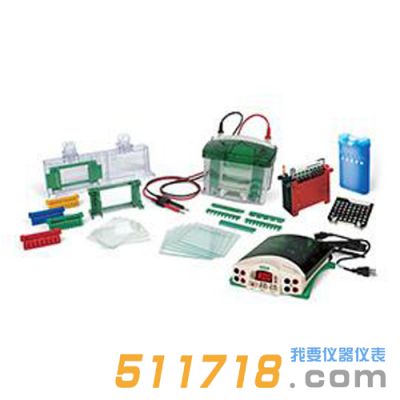 美國伯樂Bio-Rad 1658033垂直電泳轉(zhuǎn)印系統(tǒng)套裝
