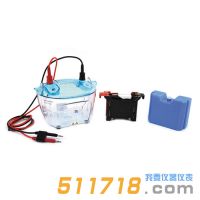 北京六一 DYCZ-40K 轉(zhuǎn)印電泳儀