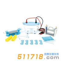 北京六一 DYCZ-24K、DYCZ-24KS型雙板垂直電泳儀