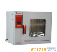 BPX-52程控電熱恒溫培養(yǎng)箱