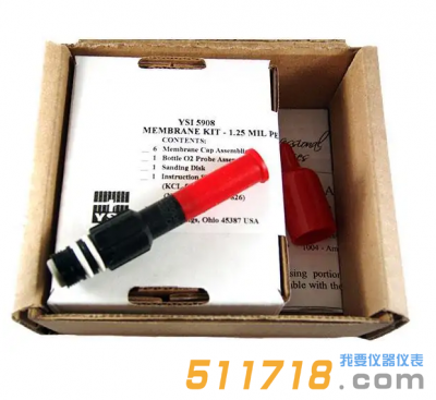 美國YSI 2003溶解氧探頭