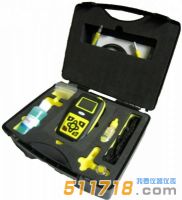 英國里泰 TMG II 透涂層測厚儀