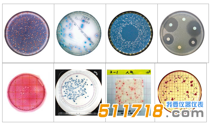 1534146096341502.png 法國interscience Scan 1200自動菌落計數(shù)器1.png